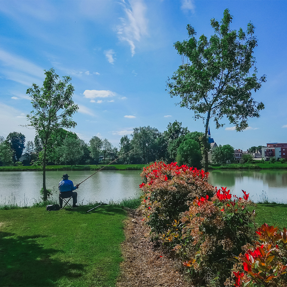 camping bord lac salbris