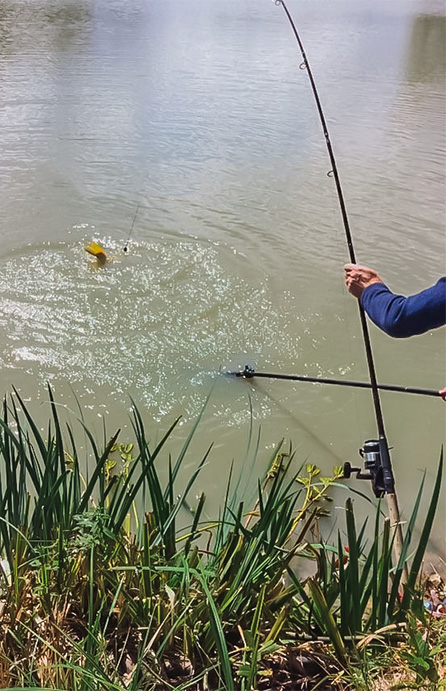 pecher dans le lac pres de notre camping du loir et cher