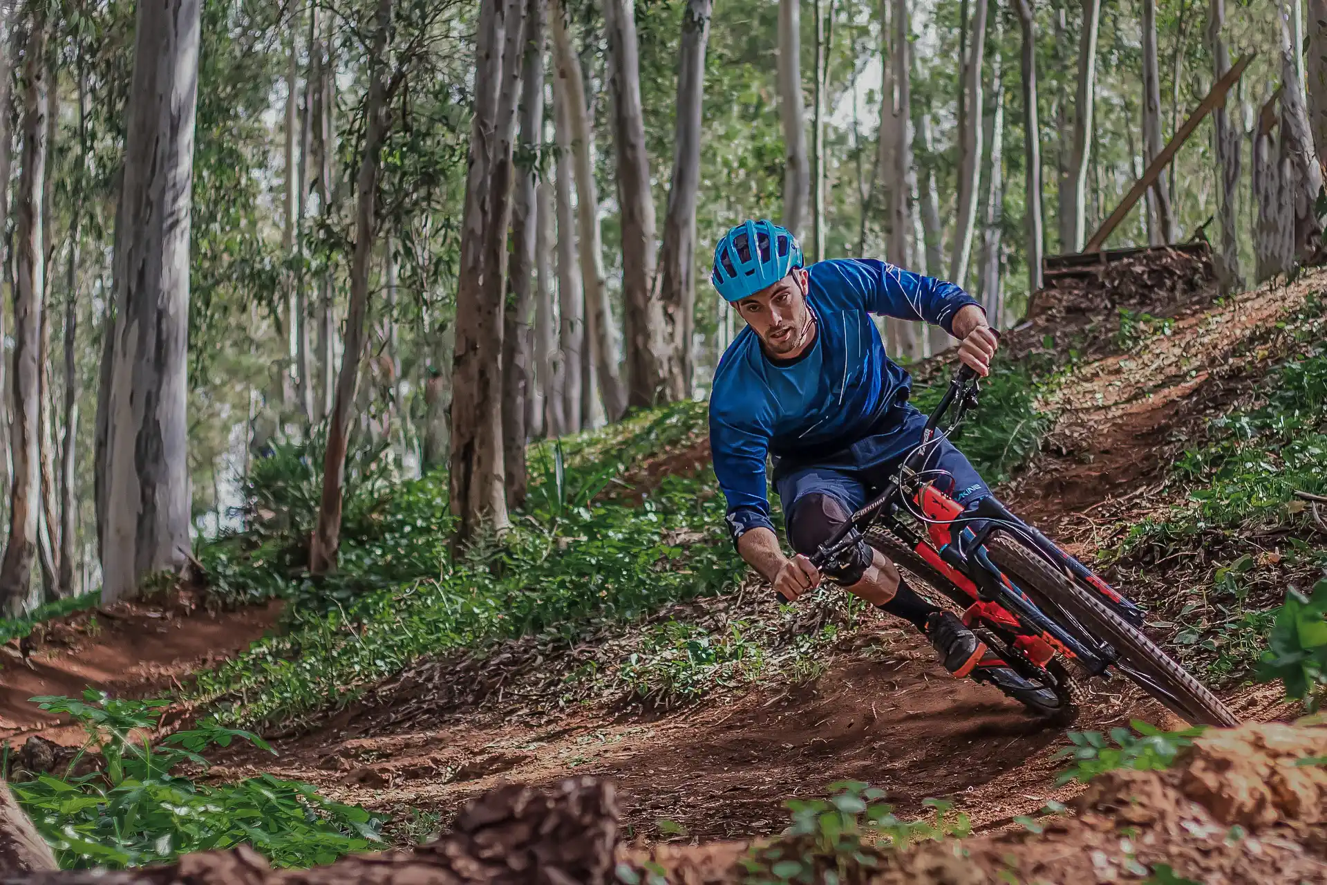 randonnee de vtt